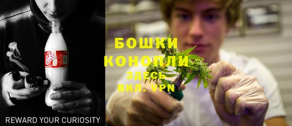стаф Белокуриха