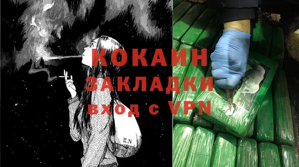 стаф Белокуриха
