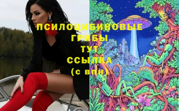 стаф Белокуриха