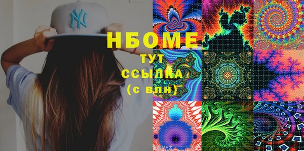 стаф Белокуриха