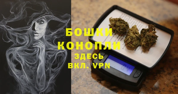 стаф Белокуриха
