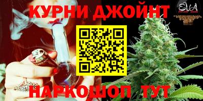 гашик Пугачёв