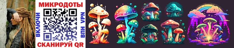 Псилоцибиновые грибы Cubensis Сегежа
