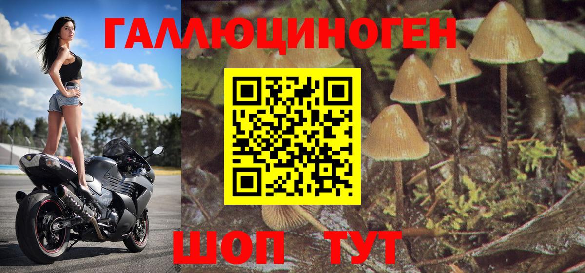 Галлюциногенные грибы Psilocybine cubensis  Вход с VPN  Сегежа 