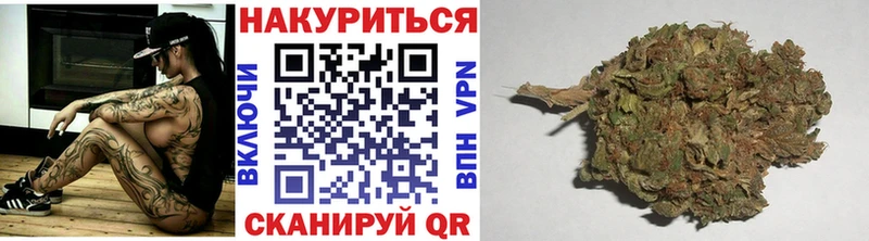 блэк спрут ссылки  Сегежа  Марихуана сатива 